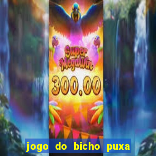 jogo do bicho puxa de dona maria